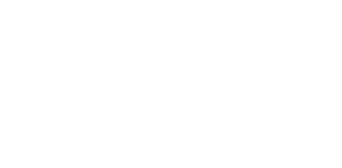 NS24_Partner-Lockups_Alliance_White